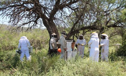 Después de 54 años, arrancó el primer estudio integral del Área Natural Protegida Valle Fértil