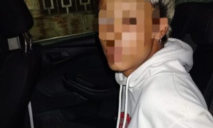 Forzó una reja, robó varias prendas y terminó detenido en Santa Lucía