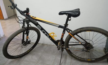 Dos menores fueron detenidos tras un robo en Los Berros