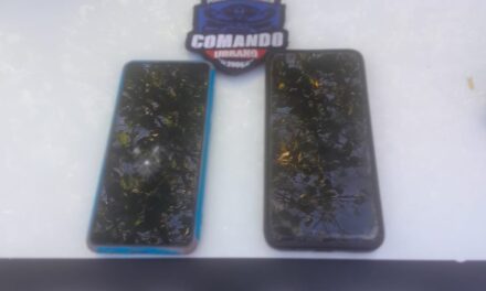 Robaron un celular, escaparon en moto y terminaron detenidos