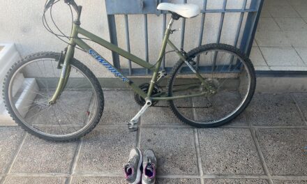 Rawson: Entró a una casa, robó una bicicleta y lo atraparon a pocas cuadras