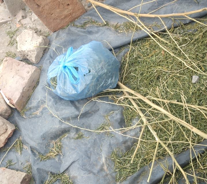 Picadas ilegales en Caucete: Seis allanamientos, motos secuestradas, menores sancionados y hallazgo de droga