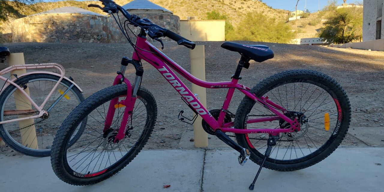Intento de robo en una capilla: Quisieron llevarse una bicicleta y terminaron detenidos en plena fuga