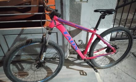 Rivadavia: Lo sorprendieron robando una bicicleta y lo atraparon