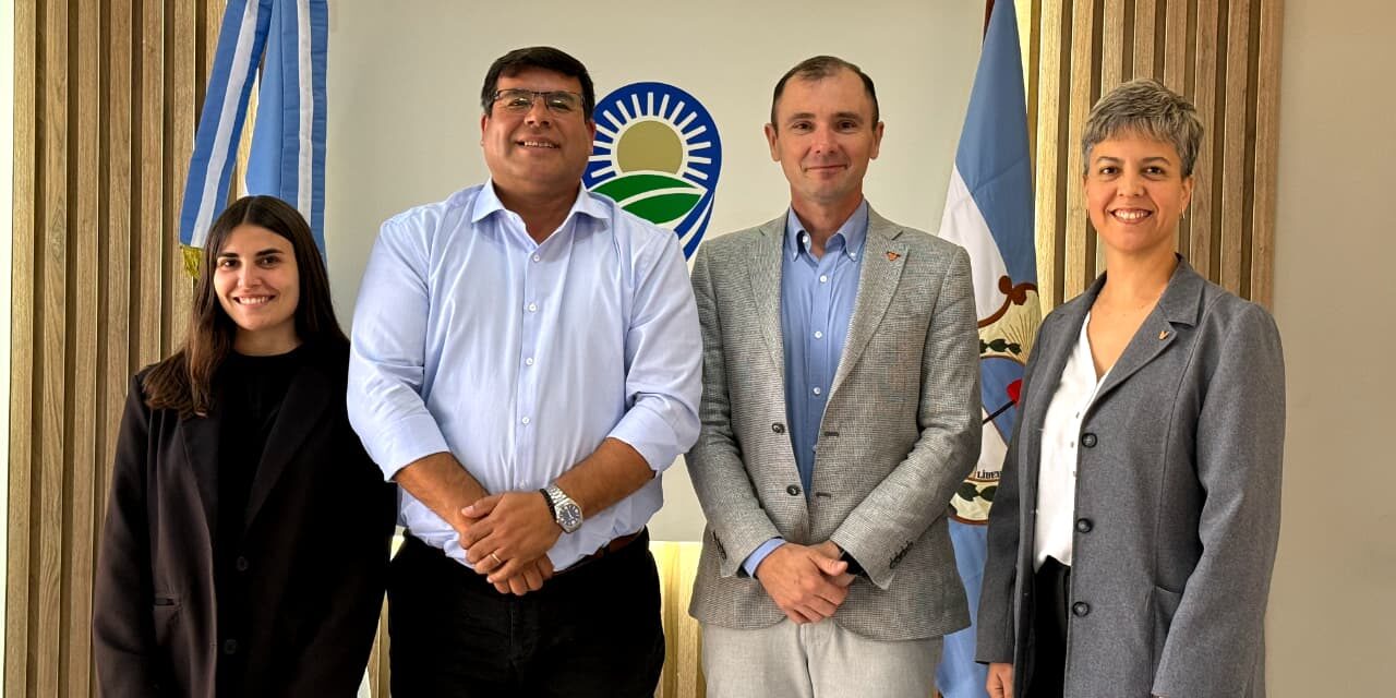 Luz bajo la lupa: 9 de Julio y Naturgy activan un plan para mejorar el servicio eléctrico