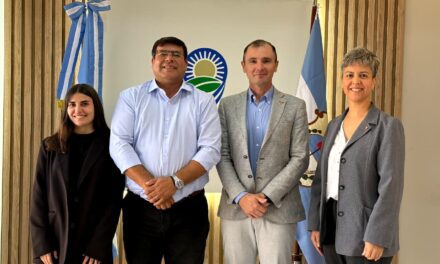 Luz bajo la lupa: 9 de Julio y Naturgy activan un plan para mejorar el servicio eléctrico