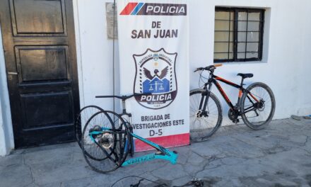 Recuperaron bicicletas robadas en dos operativos y avanzan las investigaciones