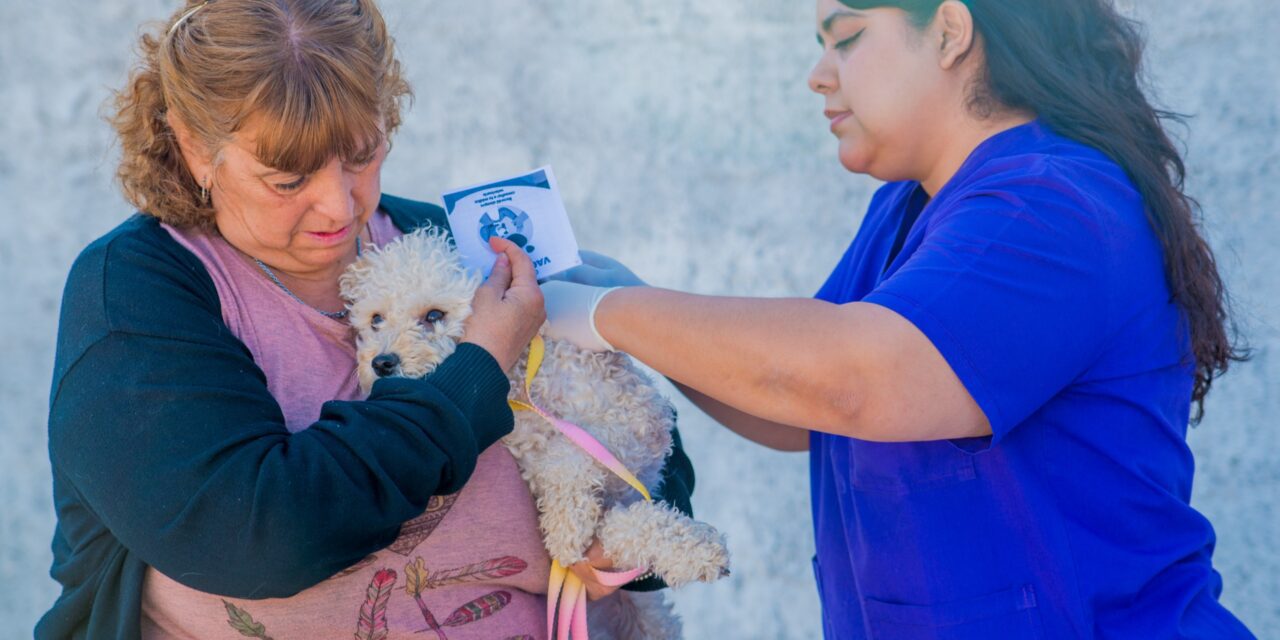 Más de 1.500 intervenciones en un año: Fuerte trabajo en control y cuidado animal