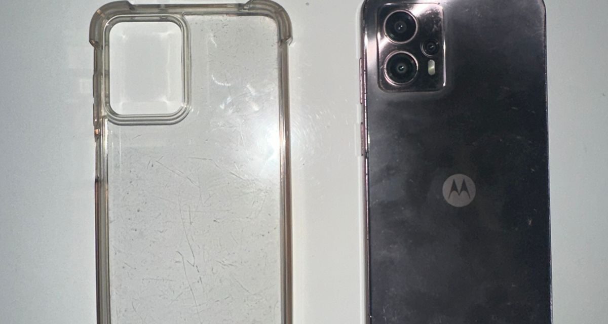 Le pidió el celular para una foto y se lo robó: Cayó en el Parque