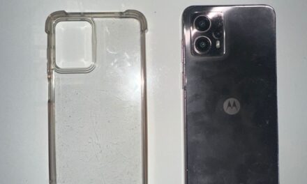 Le pidió el celular para una foto y se lo robó: Cayó en el Parque