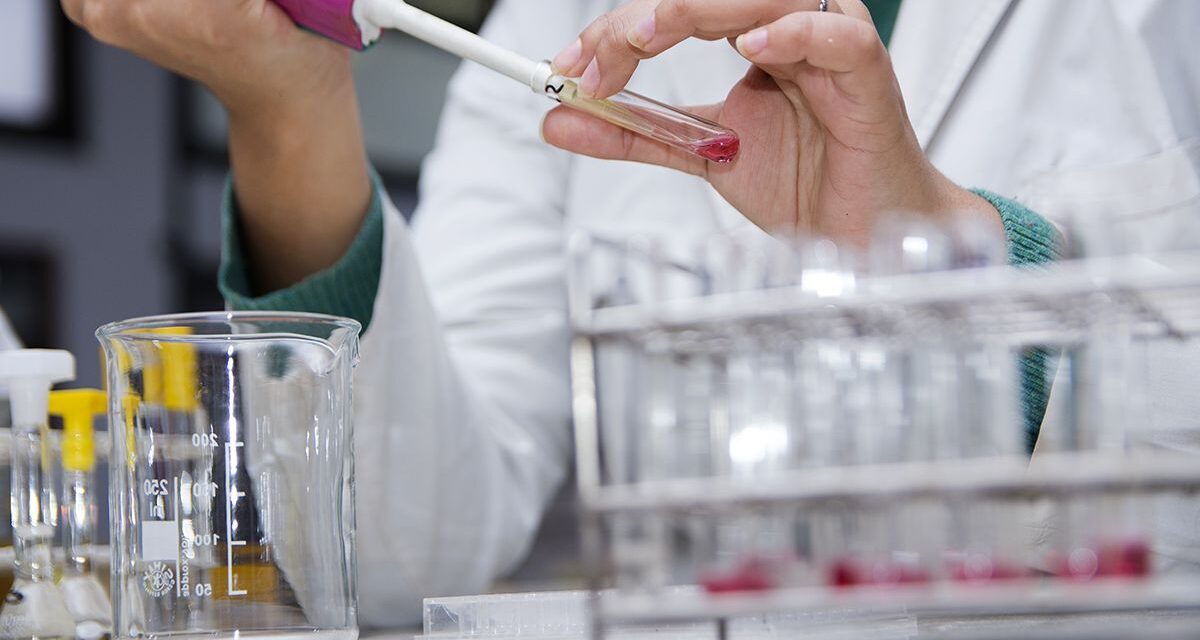 Crean el Programa Nacional Sello Ciencia Argentina para impulsar empresas de base tecnológica