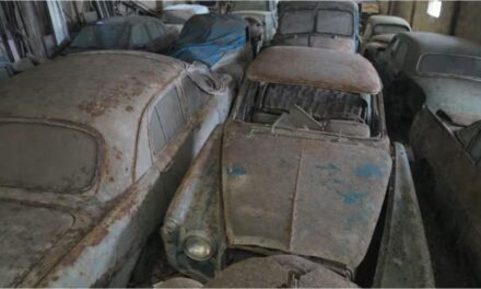 Encontraron una impactante colección de autos clásicos abandonados