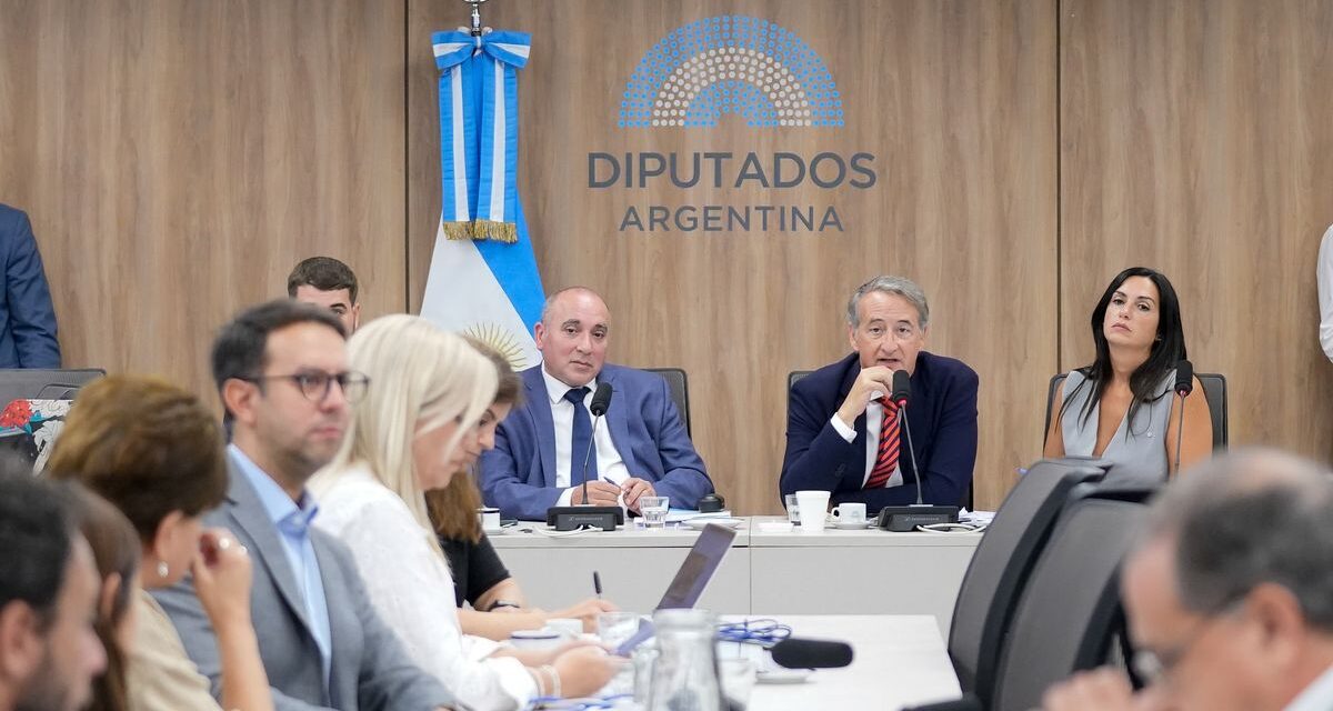 La Justicia denegó el pedido de extender las audiencias para que participen todos los inscriptos