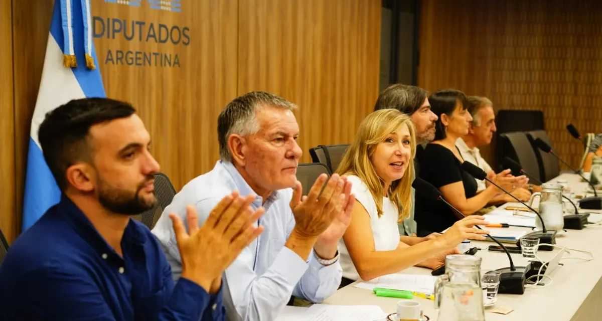 En la previa a la audiencia pública, la oposición se autoconvocó junto a especialistas y artistas