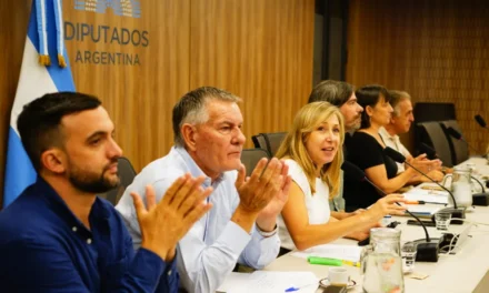 En la previa a la audiencia pública, la oposición se autoconvocó junto a especialistas y artistas