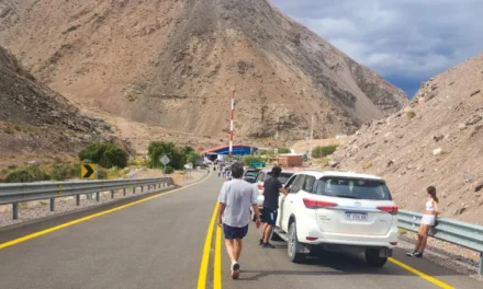 Menos viajes a Chile: Por qué cayó un 30% el cruce por Agua Negra