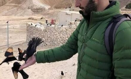 “Dormimos vestidos y con la mochila lista”: El dramático testimonio de un sanjuanino que vive bajo ataque en Israel