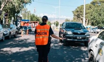 Más de 260 vehículos radiados y 375 actas: El balance del Operativo Verano en San Juan