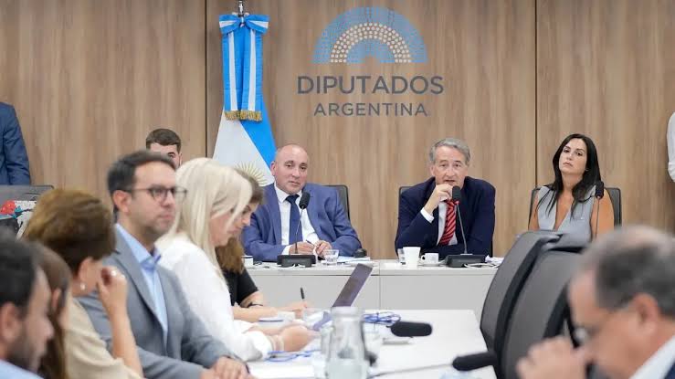 Escándalo en Diputados: Gritos, caos y una audiencia desbordada por la Ley de Glaciares