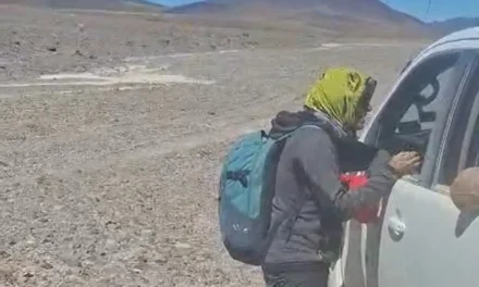 Sobrevivió a la montaña: Rescatan con vida a la andinista en zona del Bonete