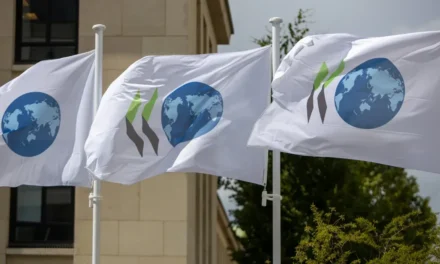 La OCDE destacó avances de Argentina, pero alertó por fallas en causas de cohecho