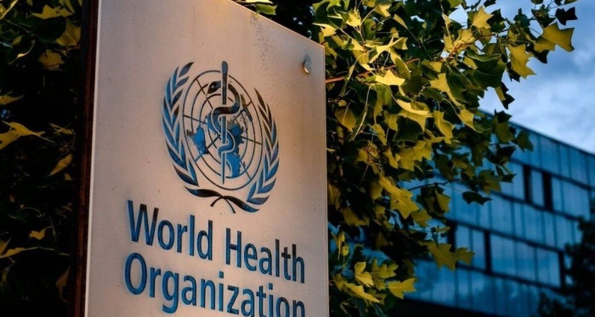 La OMS advirtió que podrían aparecer nuevos casos de hantavirus, pero afirmó que el riesgo global es bajo