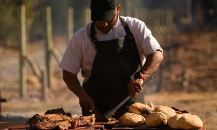 Beneficios Exclusivos para Disfrutar del Turismo Local