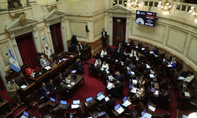 El Senado debate la reforma de la ley de Salud Mental: qué cambios incorpora