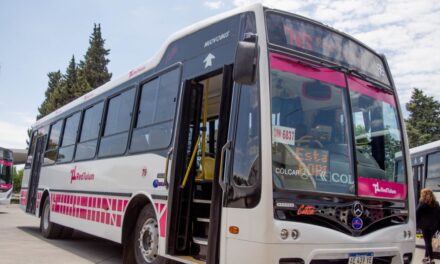 Sanidad pide el boleto gratuito y busca ser incorporada al beneficio del transporte público