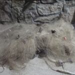 Otra vez lo mismo: redes clandestinas y un problema que nadie logra frenar