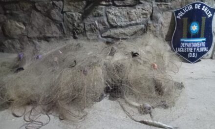 Otra vez lo mismo: redes clandestinas y un problema que nadie logra frenar