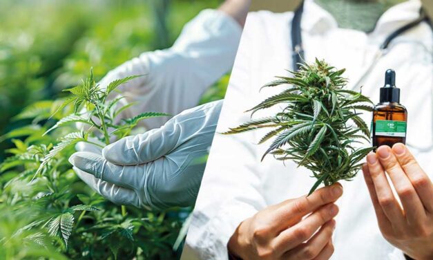 Cannabis medicinal: Los hospitales públicos de San Juan se preparan para incorporarlo en tratamientos