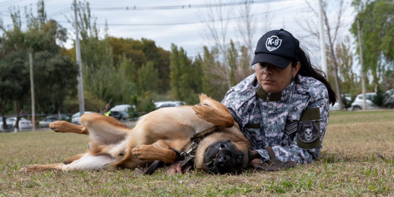 El Grupo de Canes del Servicio Penitenciario Provincial se lució en una jornada recreativa
