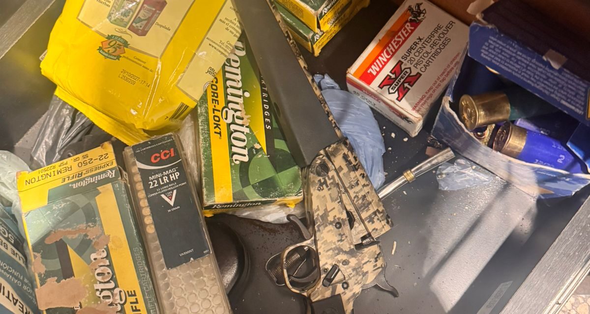 Tenían armas, droga y objetos robados: Así cayó la banda tras mega operativo