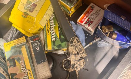 Tenían armas, droga y objetos robados: Así cayó la banda tras mega operativo