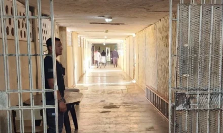 Cayó con una cortadora robada en Rawson y fue condenado: Irá 7 meses al Penal de Chimbas