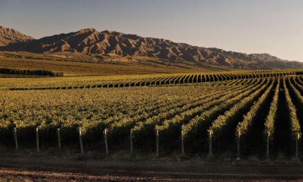 Viñateros sanjuaninos piden a diputados que rechacen cambios en la Ley de Glaciares