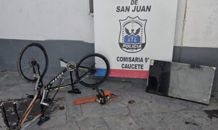 Allanamientos por robo en Caucete: Un detenido, secuestros y hallazgo de plantaciones de marihuana