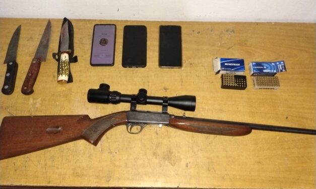 Caza furtiva en Ullum: Tres hombres detenidos con guanacos faenados y un arma ilegal