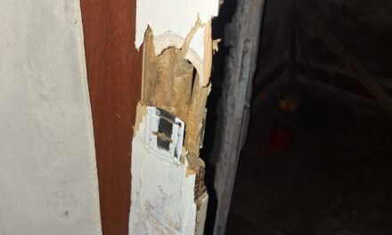 Insólito en Chimbas: Lo atraparon cuando intentaba robar un inodoro y un lavamanos