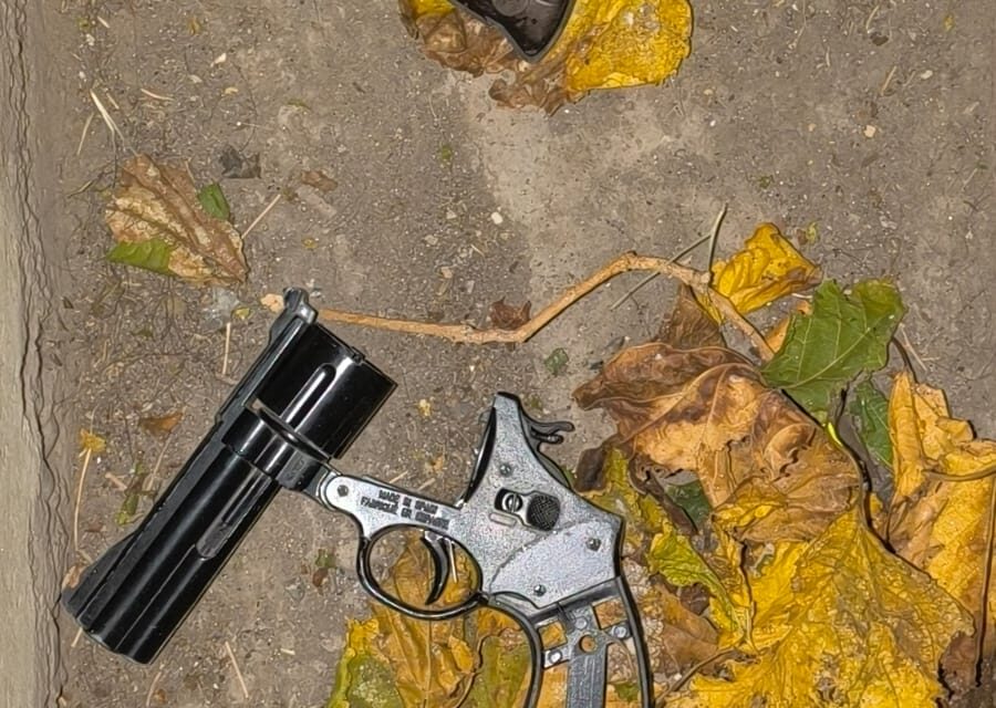 Rivadavia: Robaron a mano armada, chocaron y terminaron detenidos tras tirarse a un canal