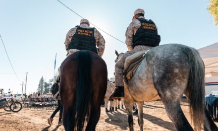 Canes y equinos, en la primera línea: “Son clave para prevenir y salvar vidas”