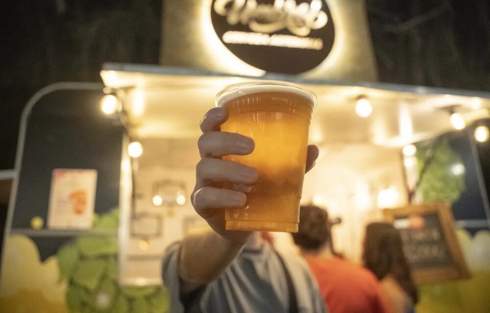 Entre cerveza y melodías