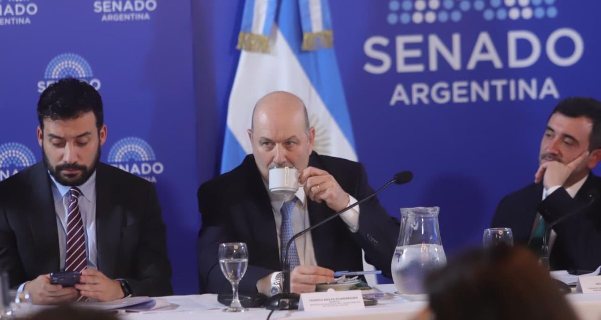 Federico Sturzenegger volvió al Congreso a defender el proyecto que regula expropiaciones y cambia la ley de Manejo del Fuego