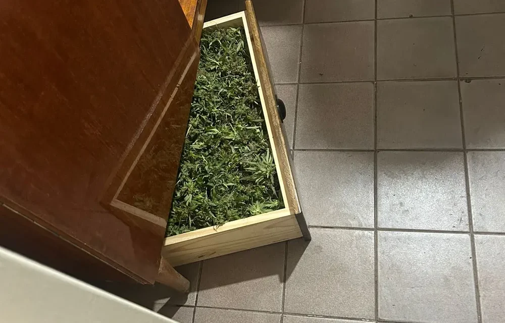 Falsos policías, disparos y drogas: Qué hay detrás del violento caso del Barrio Manantial