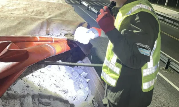 Caucete: Incautan un cargamento millonario de yeso con documentación irregular