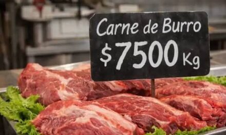 Carne de burro: Entre el prejuicio cultural y su valor nutricional