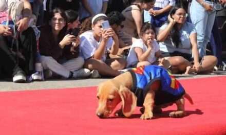 Convocan a participar del Gran Desfile de Mascotas en Santa Lucía