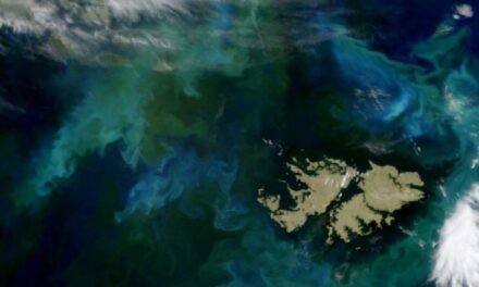 Cancillería respaldó a Bolivia tras un cruce con el embajador británico y volvió a reclamar negociaciones