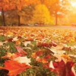 Los mejores tips para afrontar el otoño de la mejor manera, según ChatGPT